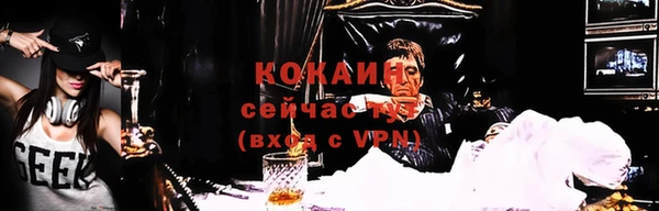тгк Армянск