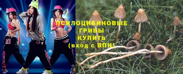 тгк Армянск